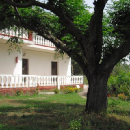 Corfu Country House Vitalades Room photo